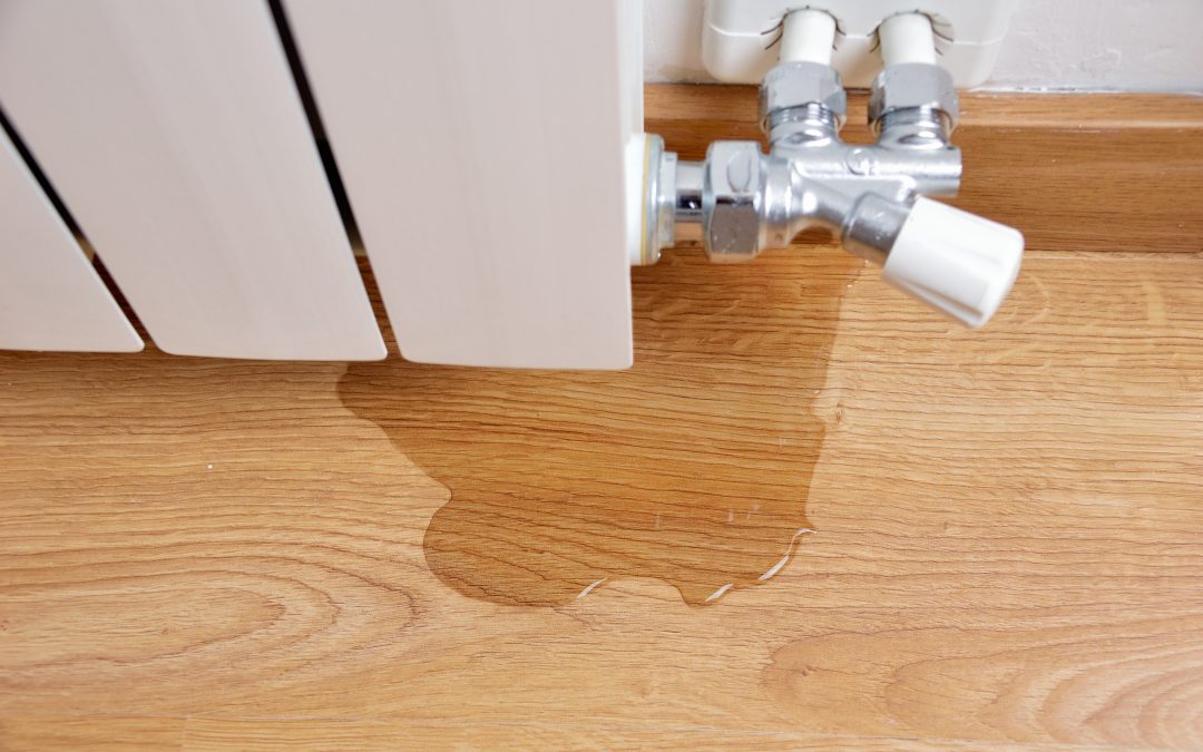 The Pipes Burst in my Home – Now What?!